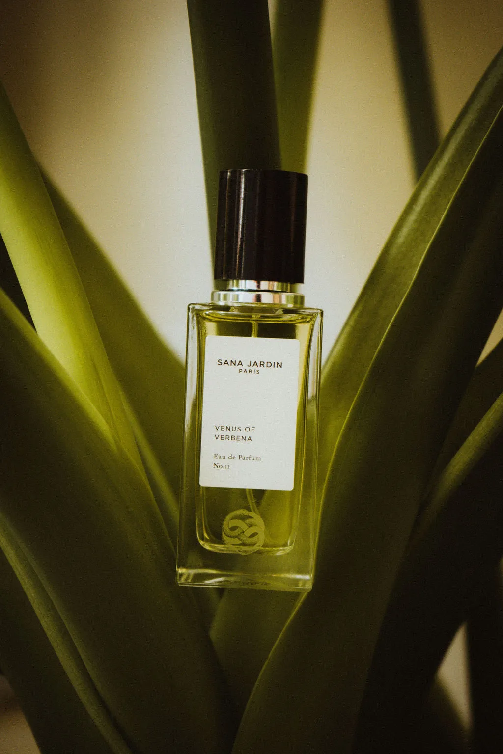 VENUS OF VERBENA EAU DE PARFUM