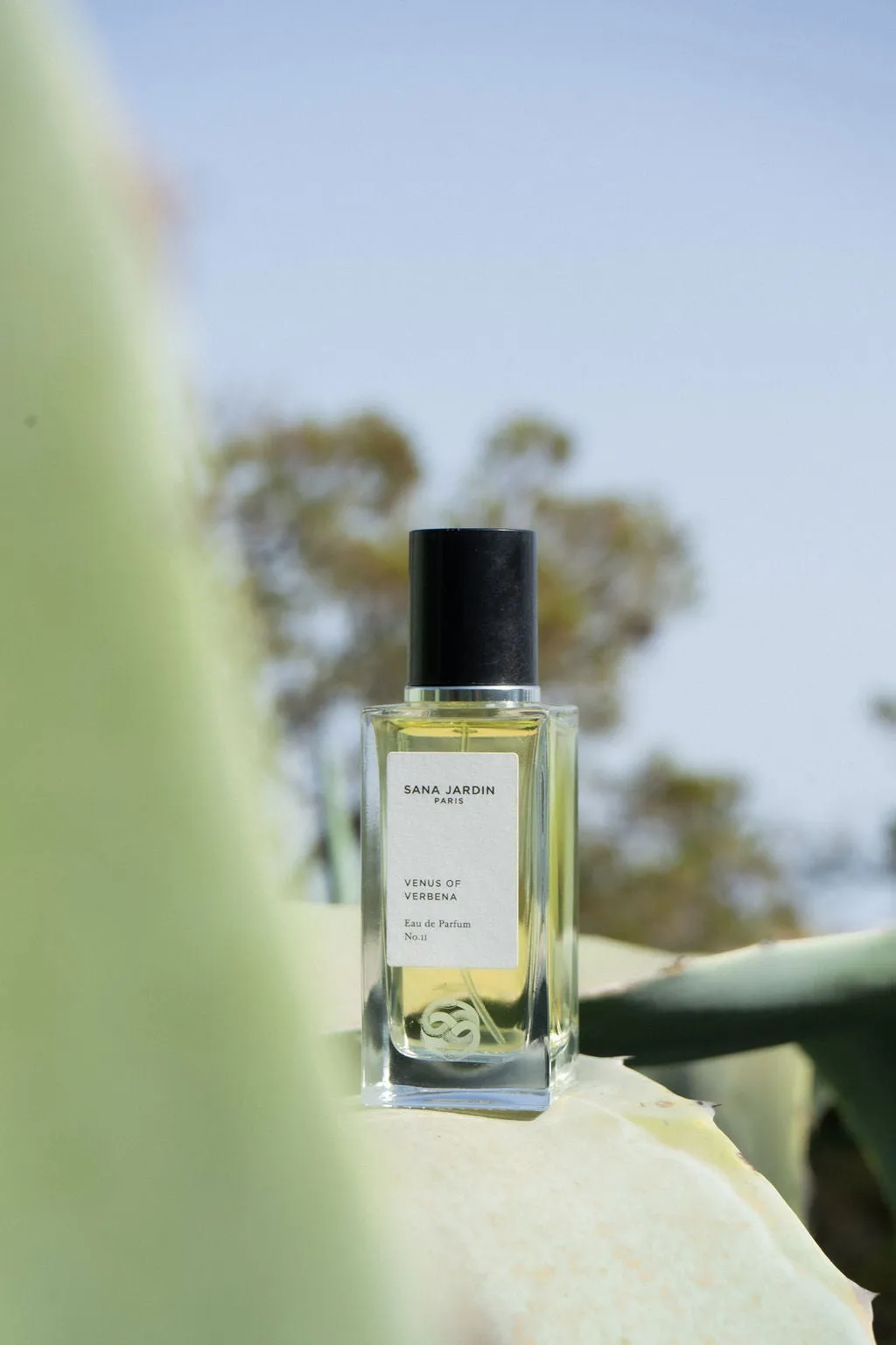VENUS OF VERBENA EAU DE PARFUM